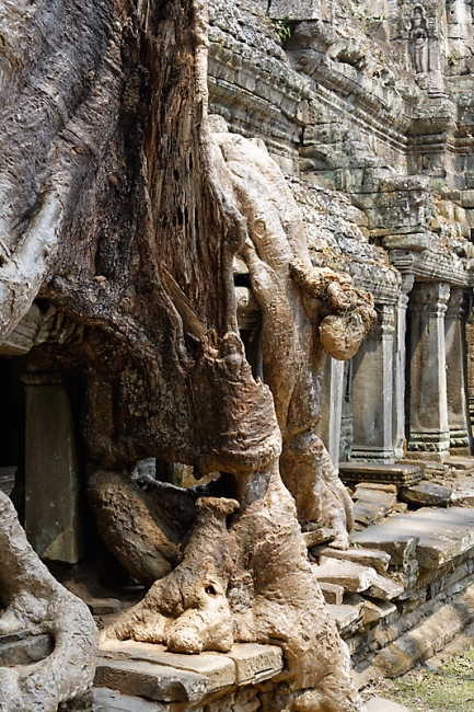 Preah Khan-058